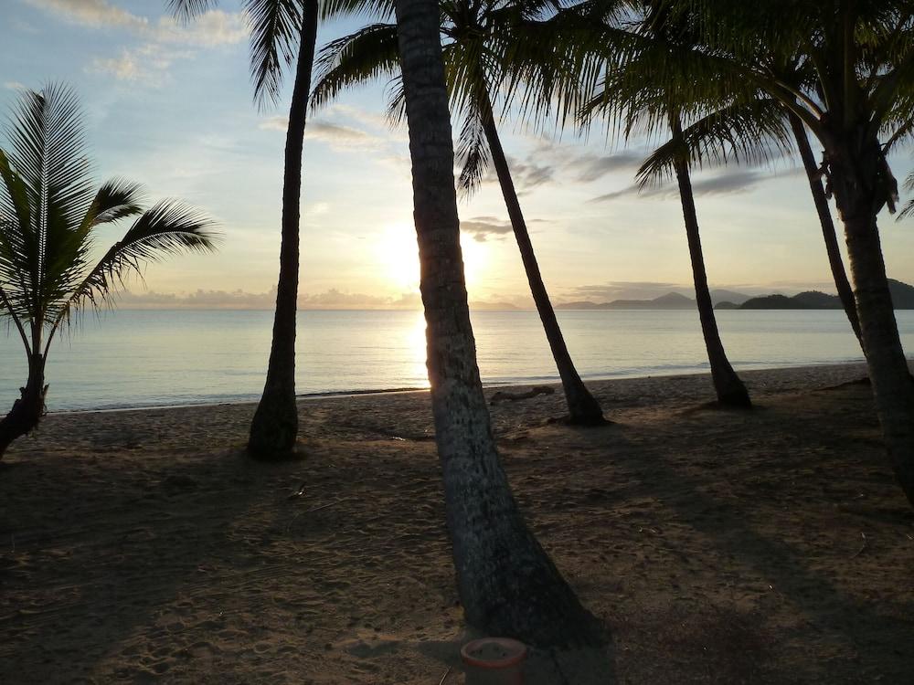 Palm Cove Tropic Apartments Екстериор снимка