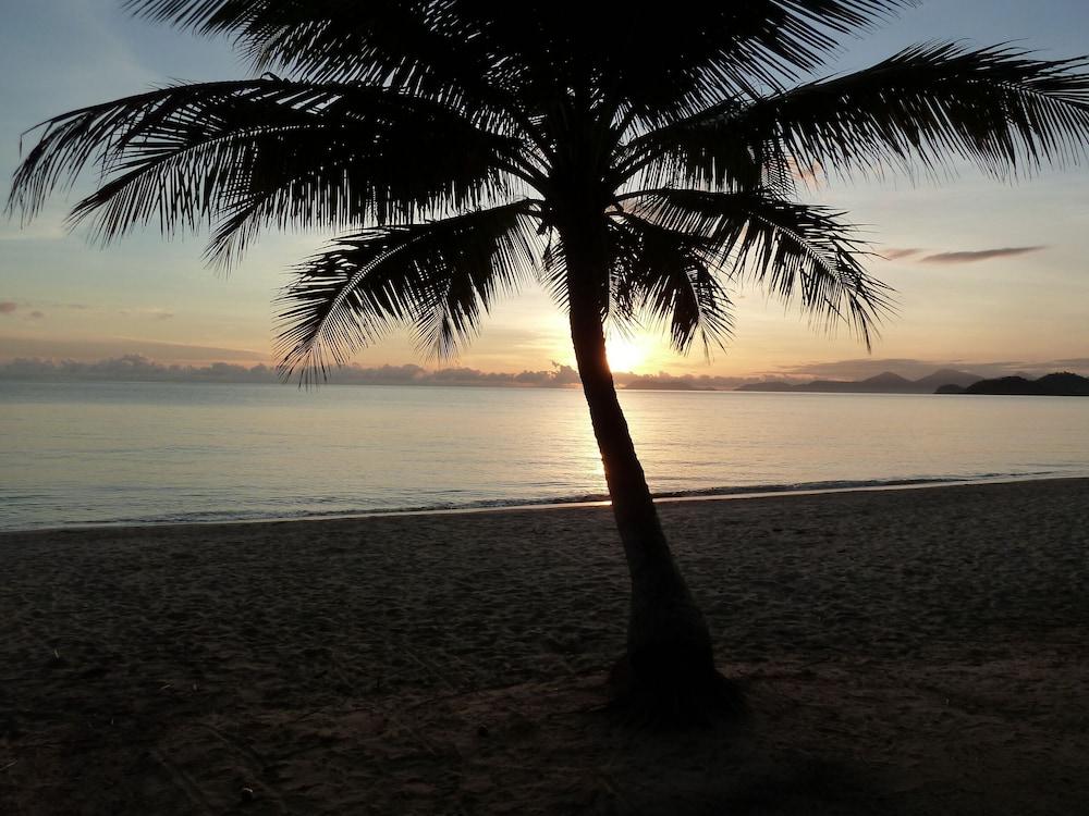 Palm Cove Tropic Apartments Екстериор снимка